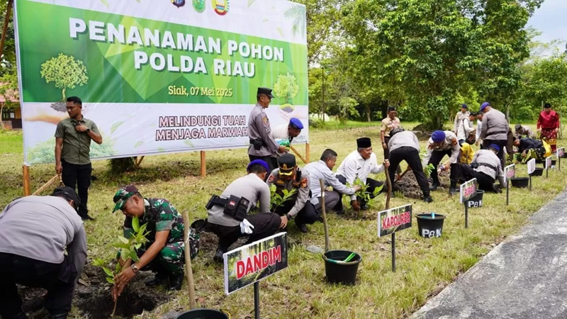 Kapolda Riau Satukan 3 Paslon Bupati Siak Pasca-Pilkada Tegang, Tanam Pohon Kehidupan Demi Marwah Negeri
